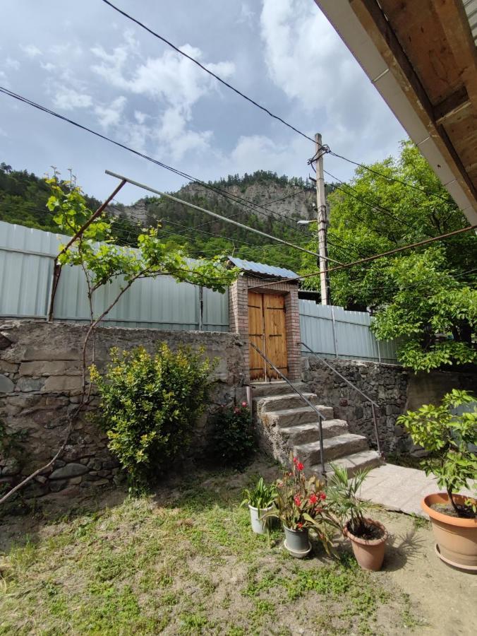 Ati Mta - Eco Hostel Bordžomi Exteriér fotografie